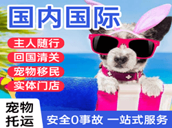运城航空快运国际宠物托运 【国